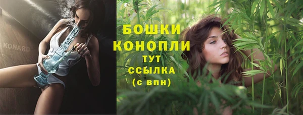 стафф Осинники