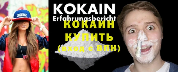 стафф Осинники