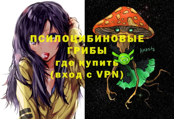 PSILOCYBIN Осташков