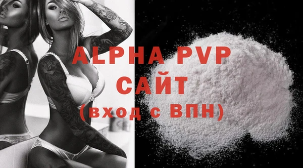 стафф Осинники