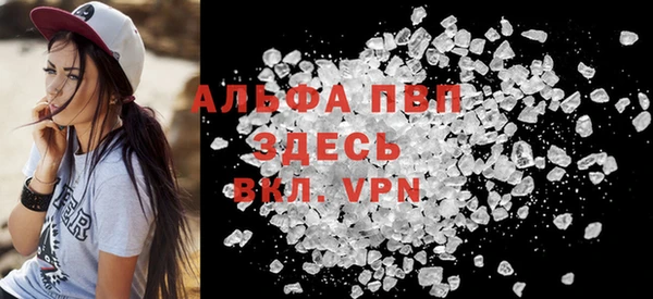 стафф Осинники