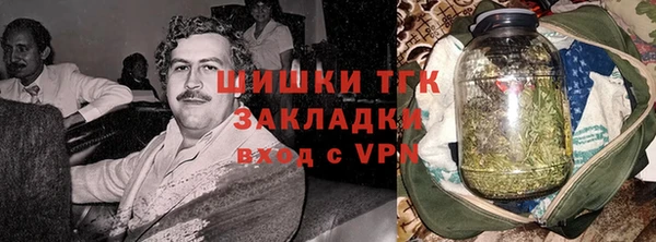 PSILOCYBIN Осташков