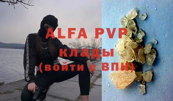 стафф Осинники