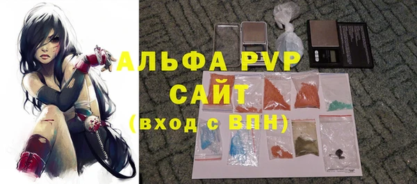 PSILOCYBIN Осташков