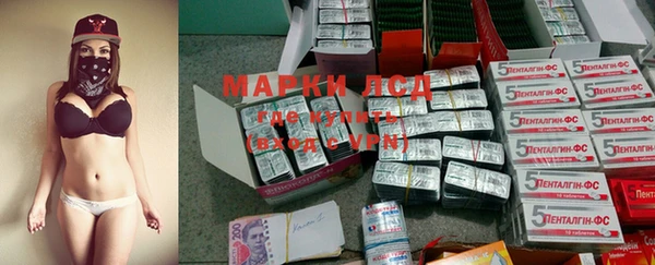 стафф Осинники