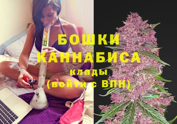 PSILOCYBIN Осташков