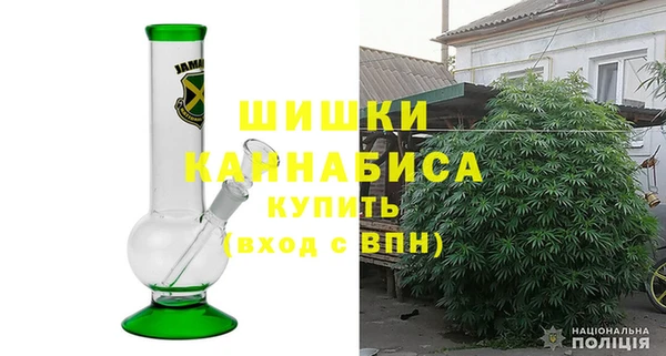 стафф Осинники