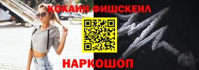 крисы Коммунар
