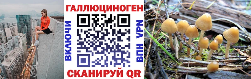 Галлюциногенные грибы Magic Shrooms  закладки  Киржач 