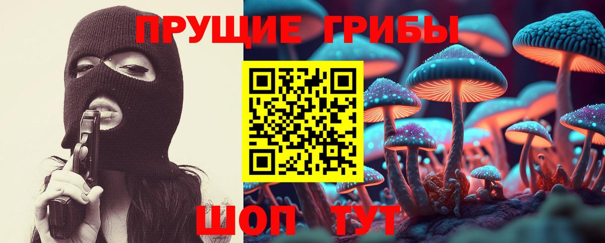 Киржач  Cocaine  Молли  Вход с VPN  Мефедрон  Хэш  Марихуана  Плюхи  Каннабис 