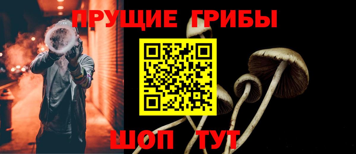 Киржач  Псилоцибиновые грибы мухоморы  Вход с VPN 