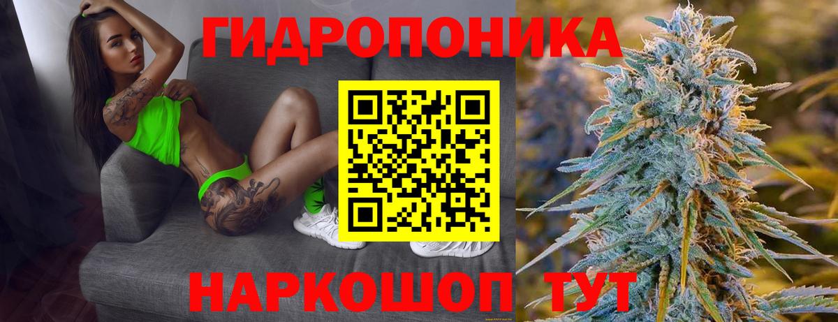Конопля AK-47  Каннабис марихуана  Киржач  Бошки Шишки White Widow  Бошки марихуана конопля  Вход с VPN 